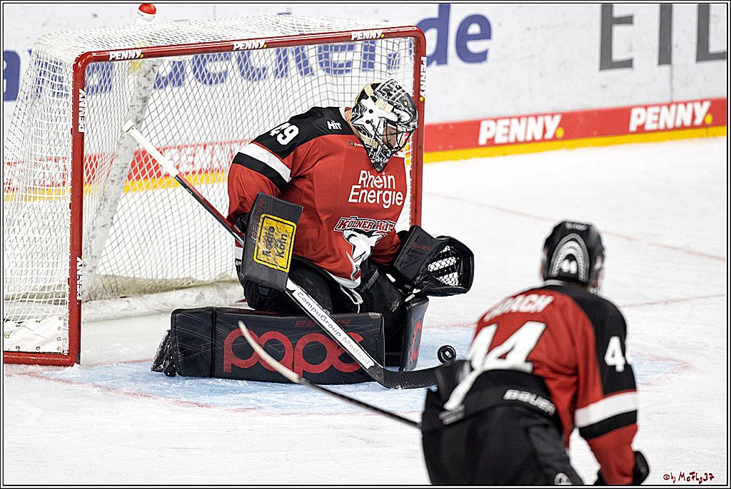 PENNY DEL;  Koelner Haie - Krefeld Pinguine; Koeln, 31.10.2021